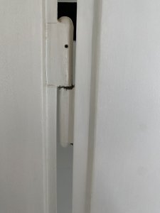 IMG_5964.jpeg