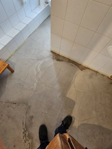 20240906_134953.jpg