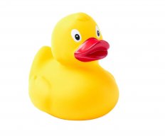 yellowduck