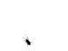 Invader