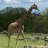Kathie276