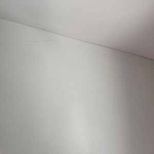 Image2