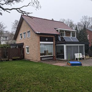 Vorher Garten