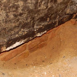 Fundament