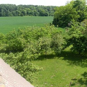Noch ein Blick aus dem Giebelfenster auf Grundstück und Landschaft.
