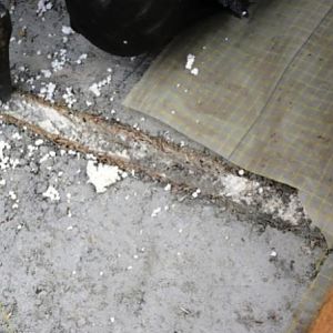 P1030036