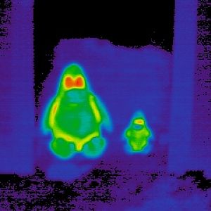 Jura Iglu Thermographie