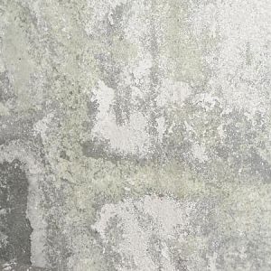 P2210011