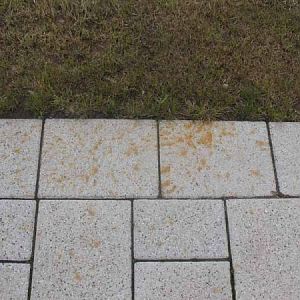 IMG 9433001