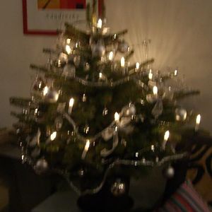 weihnachstbaum