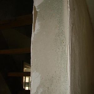 schimmel 03