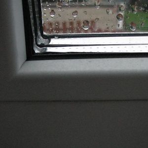 IMG 3708