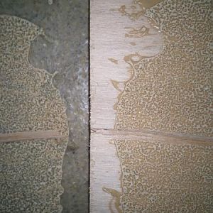 Probeverklebung 02