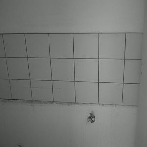 IMG00371 20120821 1530