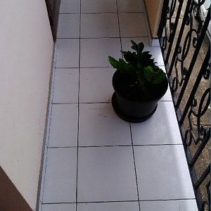 aqui eu aprendi 9