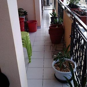 aqui eu aprendi 7