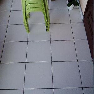 aqui eu aprendi 13