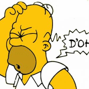 homer simpson doh