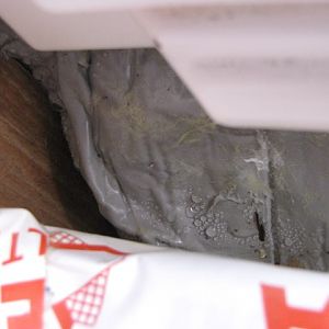 IMG 4782
