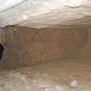 DSC 0045