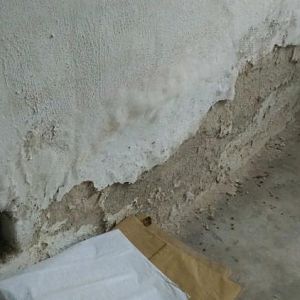 schlimmste stelle mit watte. andere wände sehen besser aus