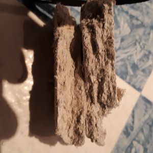 20191002_181555