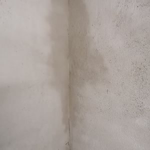 IMG_20201220_113459