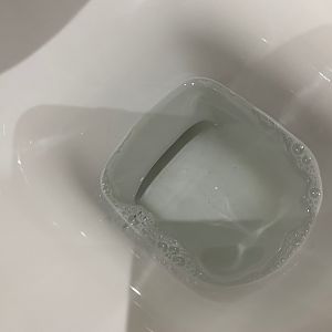 Tiefspüler, klares Wasser
