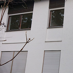 Fensterdetail