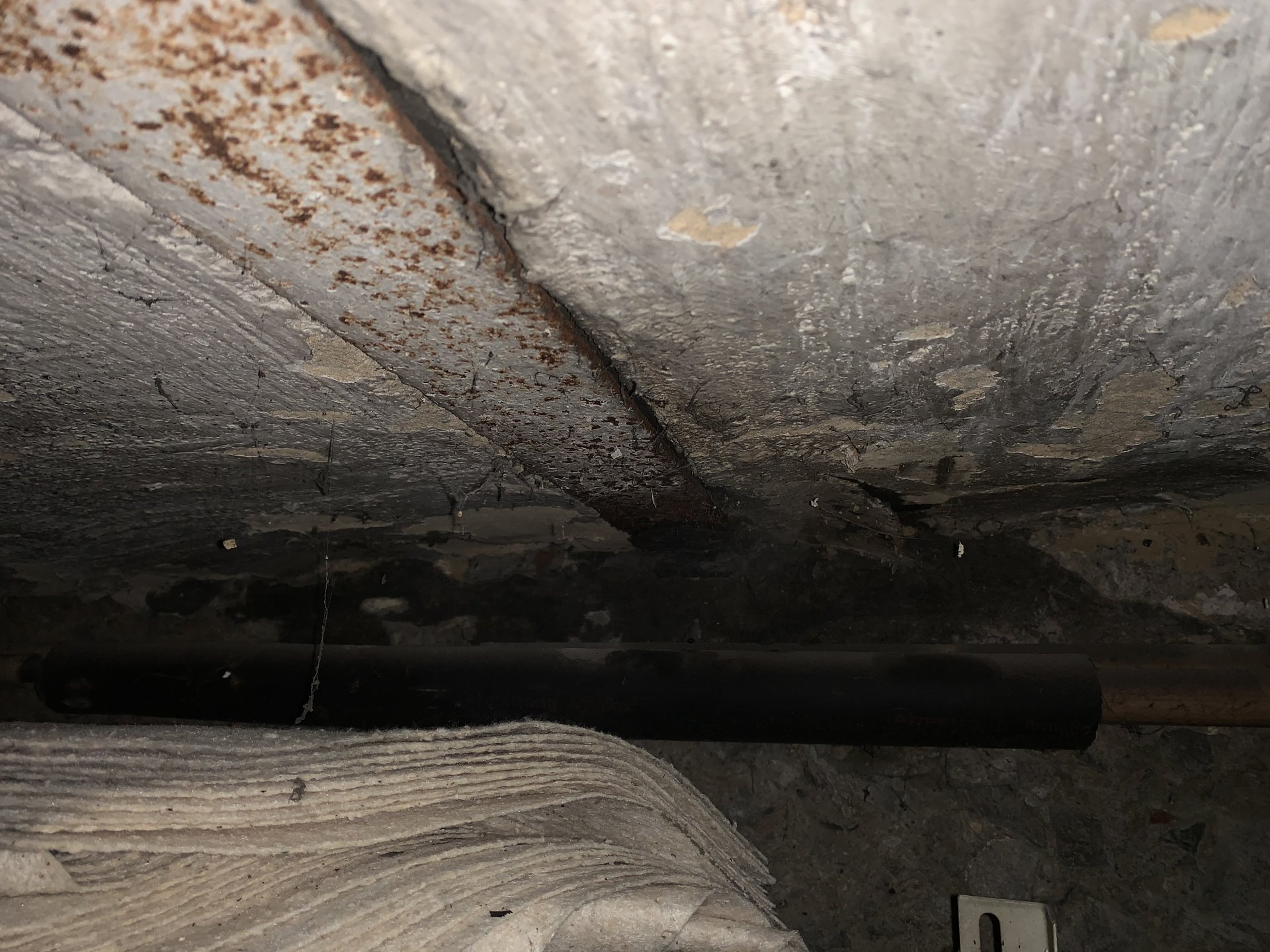 976353F5-075B-4B85-8F3C-CE6F1DB12399