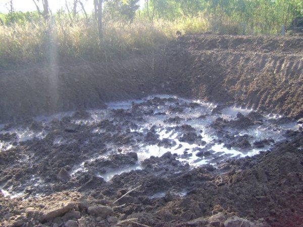 die Anfaenge unseres SEE s 3