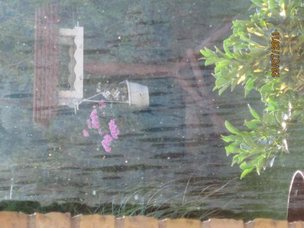 IMG 0482Neu
Belag mit klaren Stellen