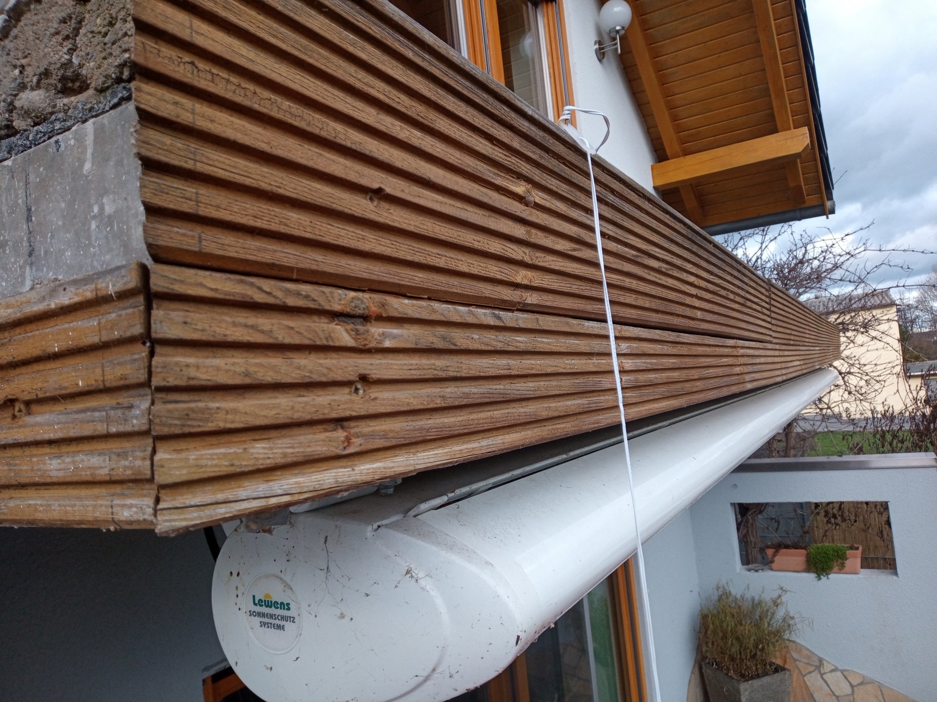 IMG_20221229_142716_006