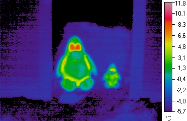Jura Iglu Thermographie